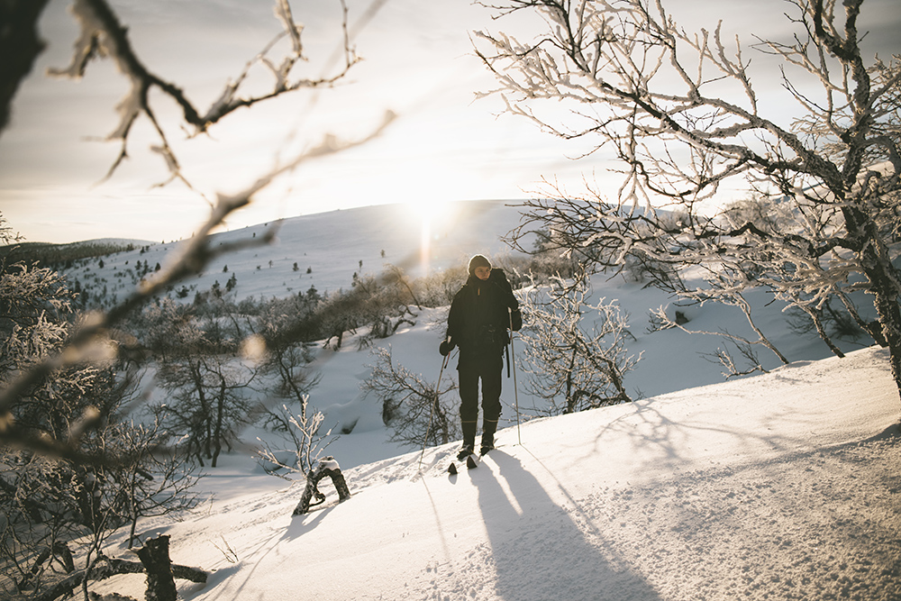 Ski trekking in Pallas, Finland