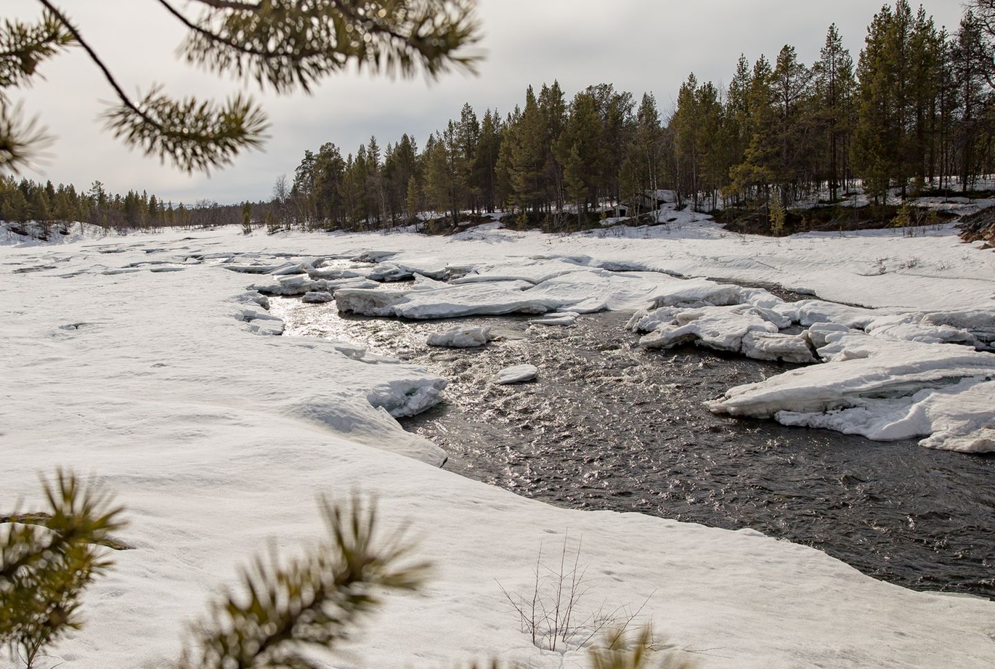 Yrittäminen Lapissa Giellajohkan maisemia