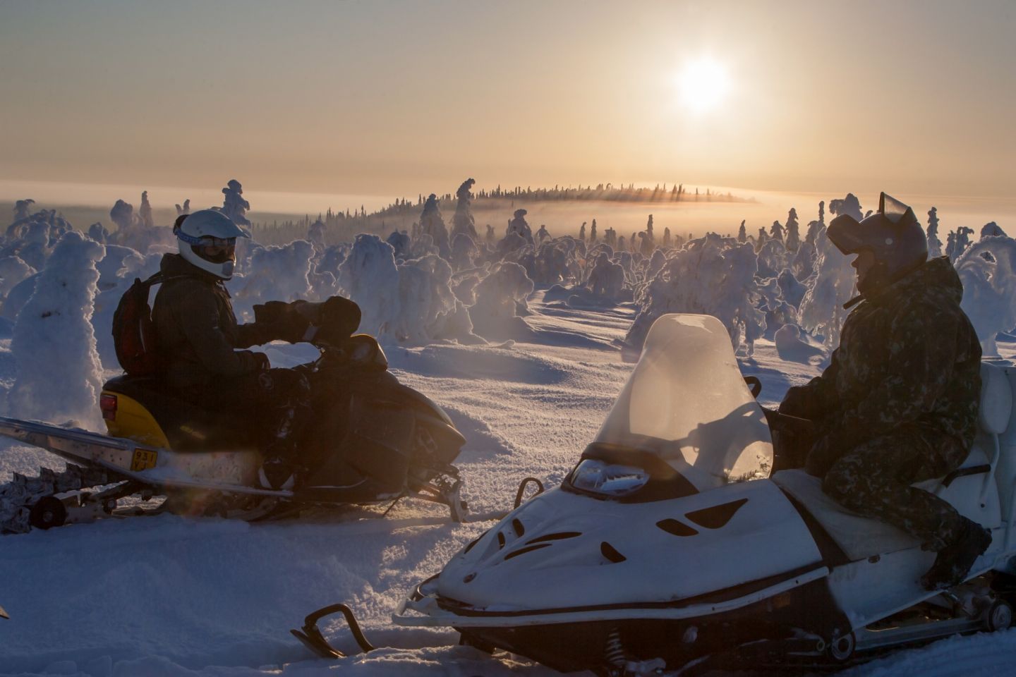 Kelkkailu harrastukset lapissa