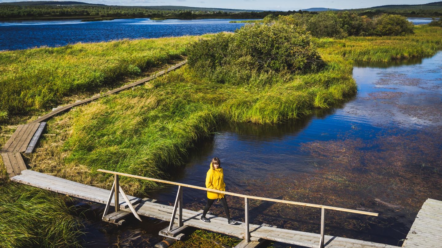 Koivusaari kulttuuri Lapissa