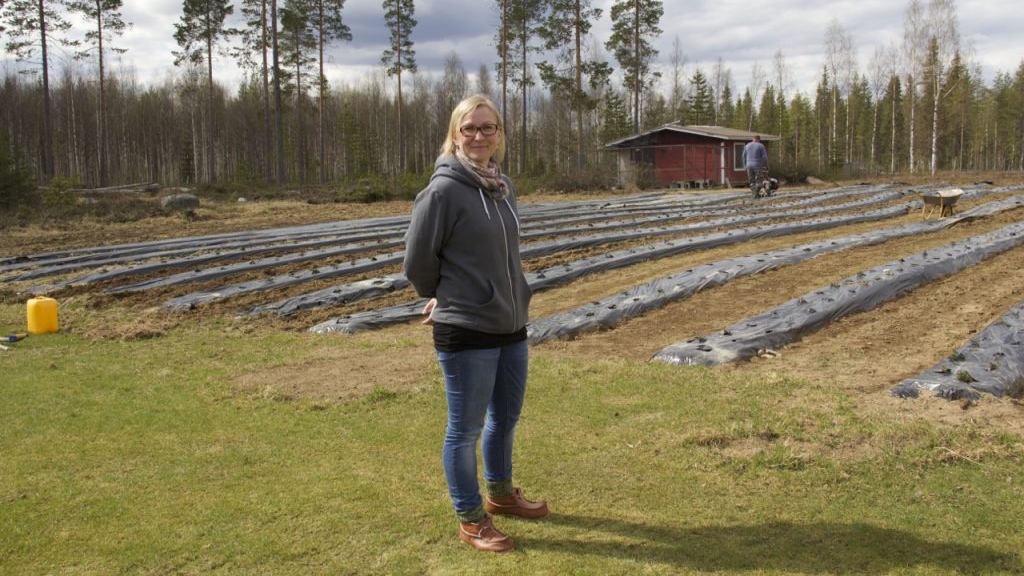 Katja Misikangas Yrittäminen Lapissa