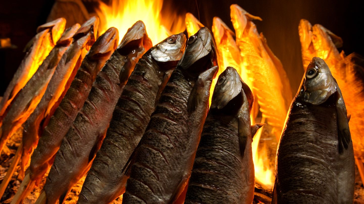 Fish by campfire, Aavasaksa - Ylitornio, Lapland