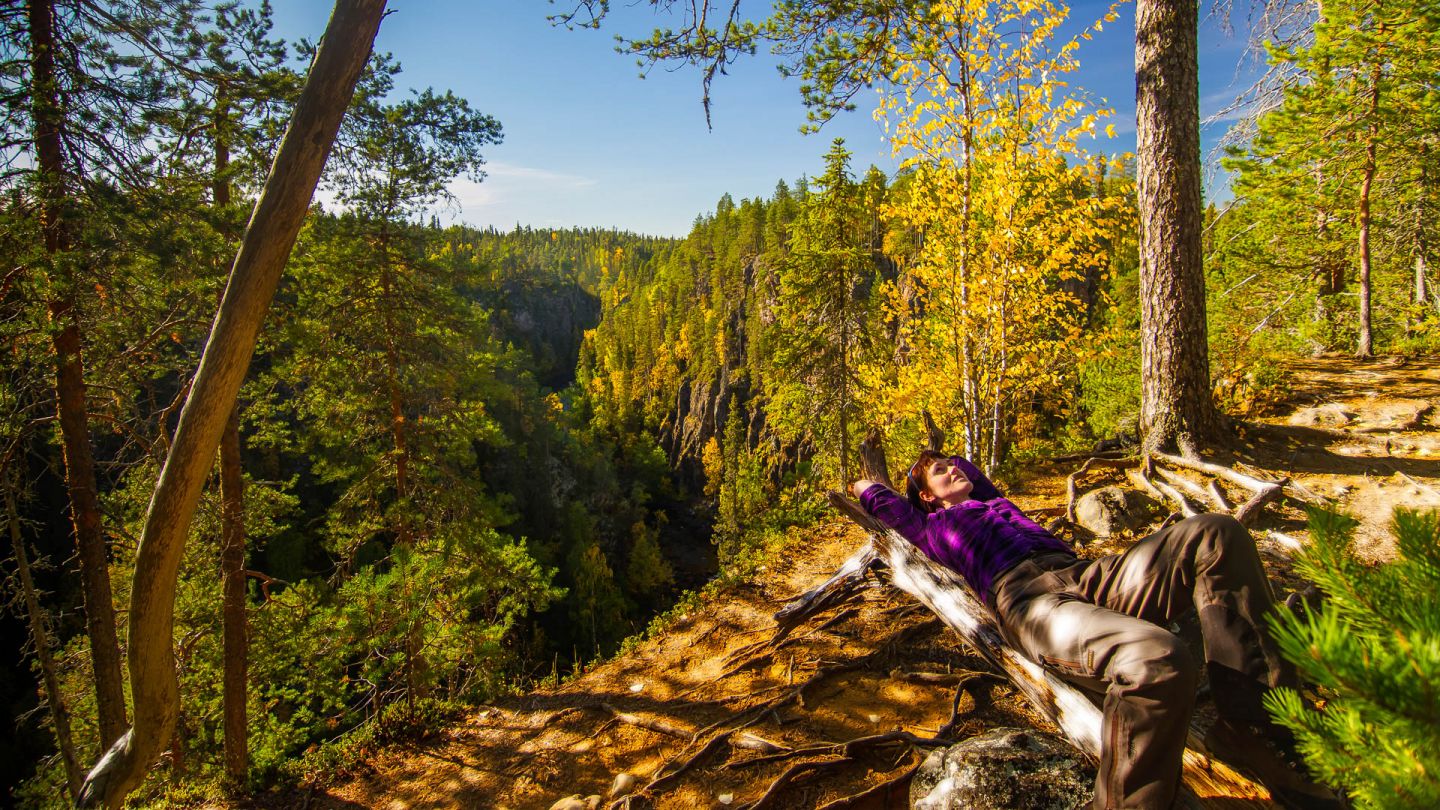 Autumn in Salla Finland | Lapland holiday reindeer