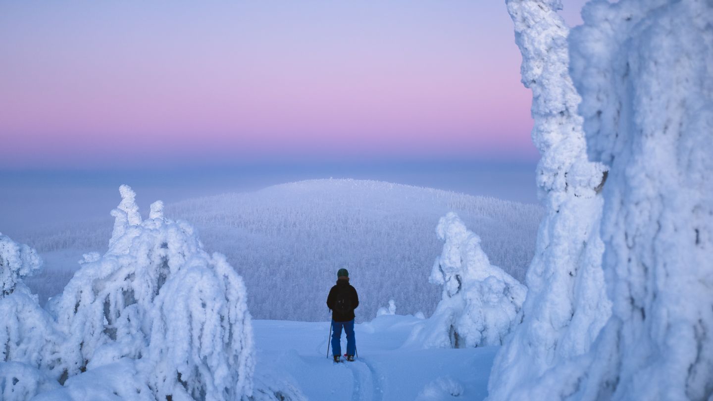 Salla - In the Middle of Nowhere | Visit Finnish Lapland