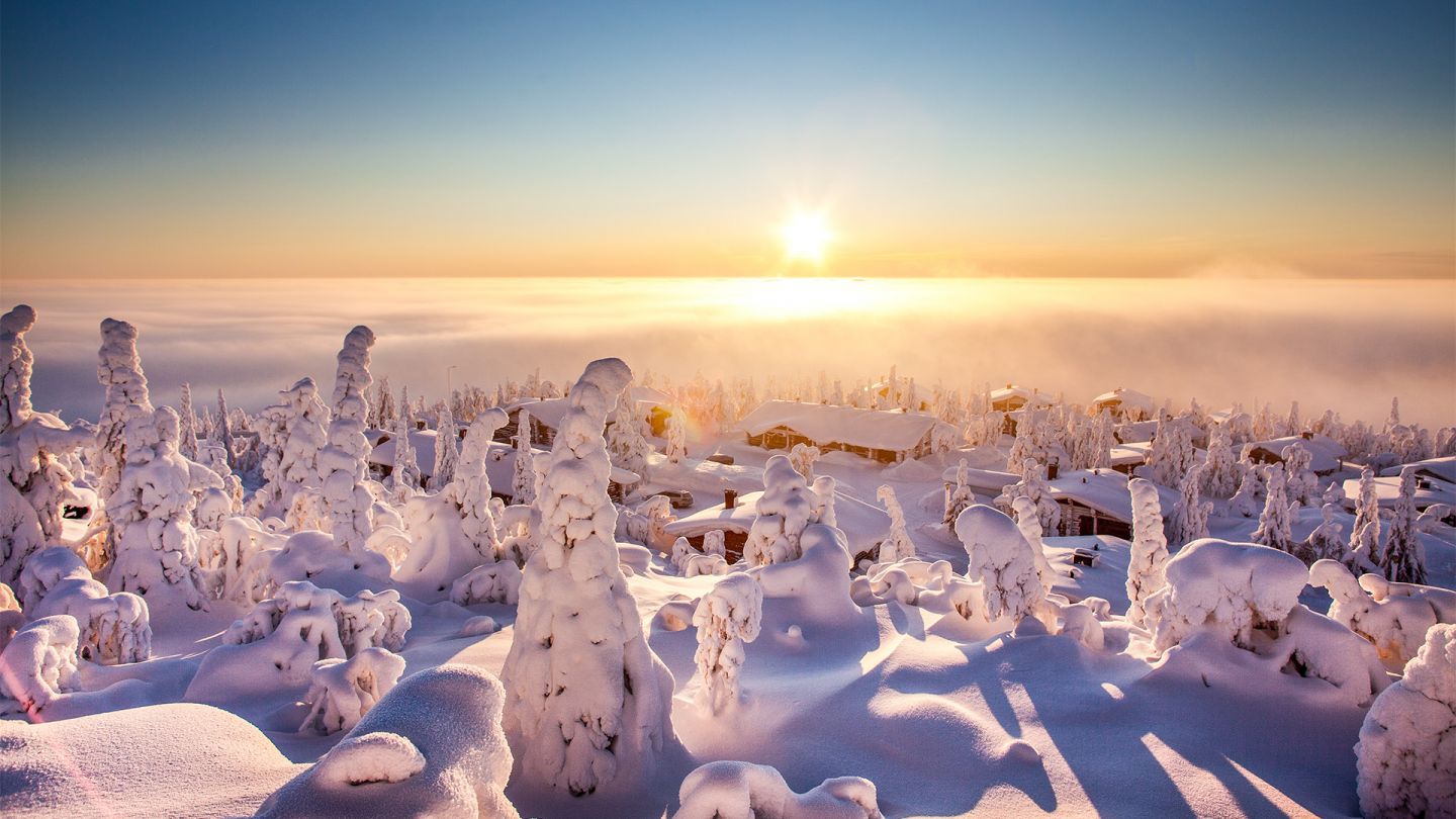 Snow in Syöte, Finland in winter