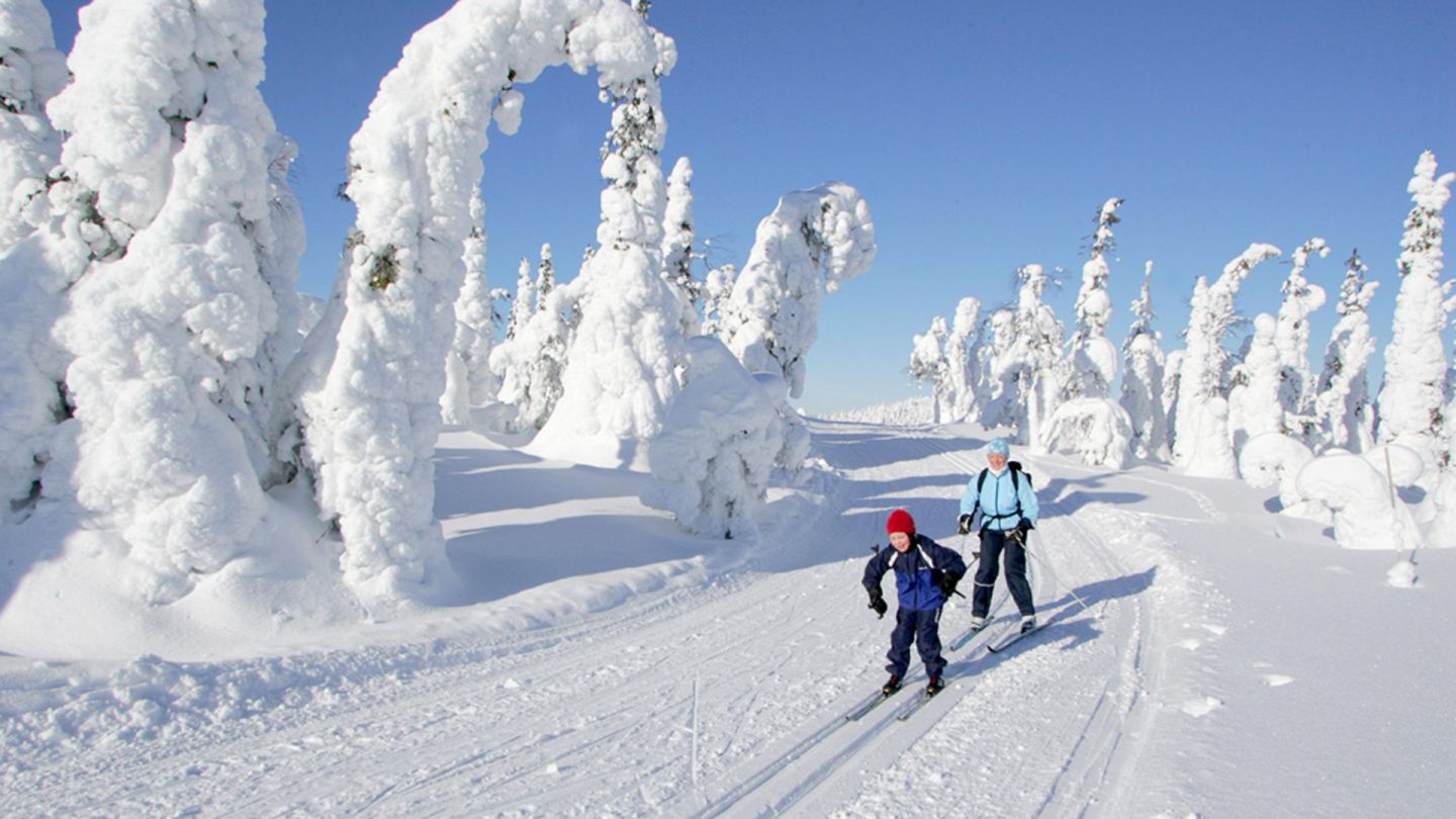 Cross-country skiing in Lapland spring sun