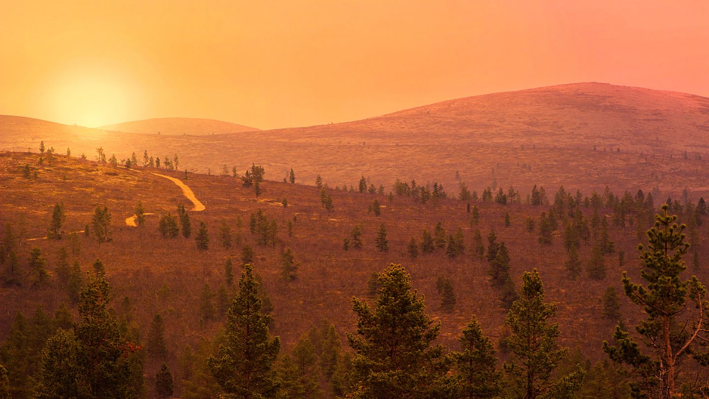 Summer in Saariselka, Finland