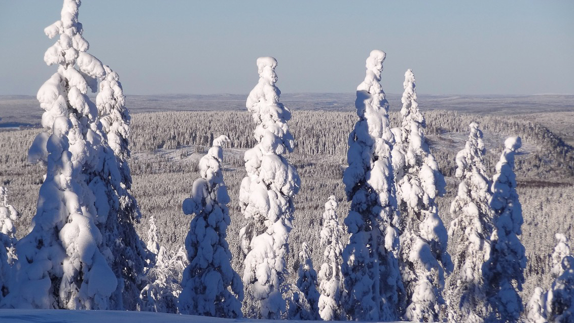 Pello, Lapland in winter