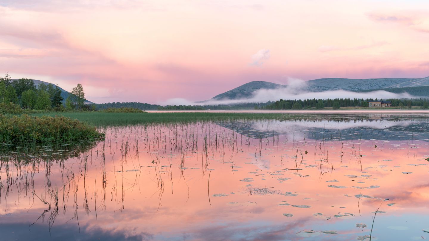 Summer in Ylläs, Lapland