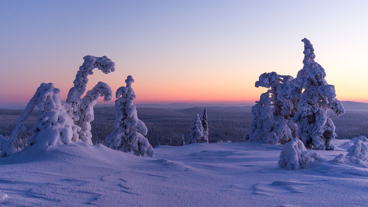 Polar night in Ylläs, Lapland