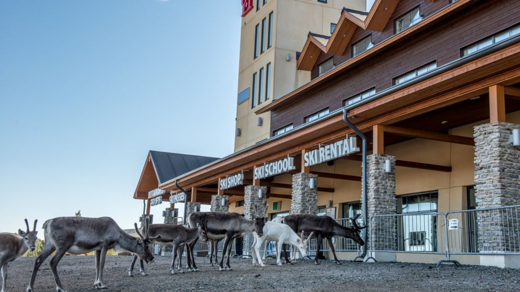 Tourism boom boosts real estate in Lapland Business Lapland