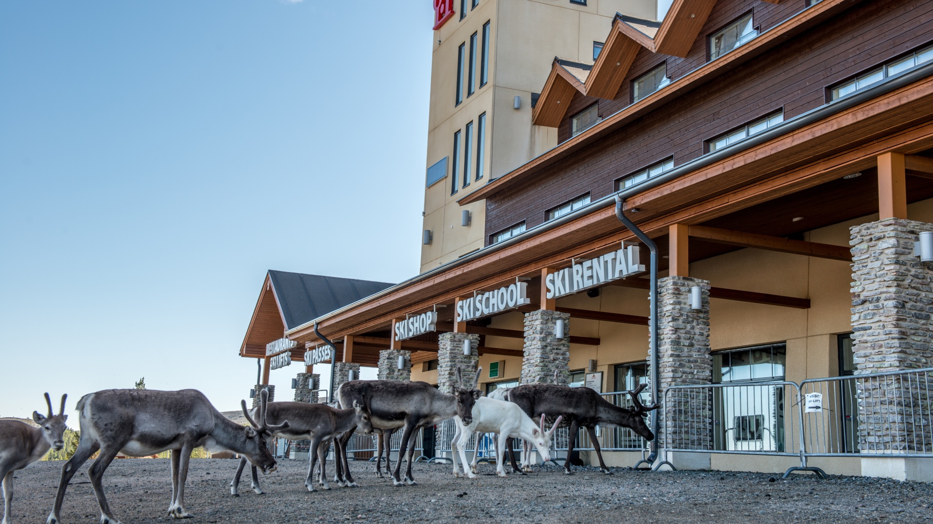 Tourism boom boosts real estate in Lapland Business Lapland