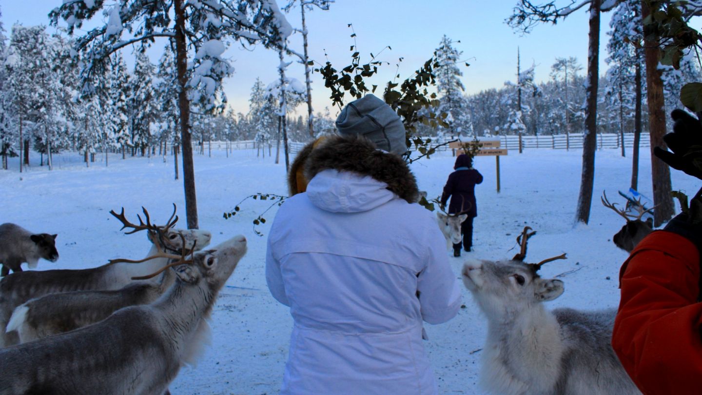 Jarko Kallioinen sesonkityö Lapissa asiakkaat