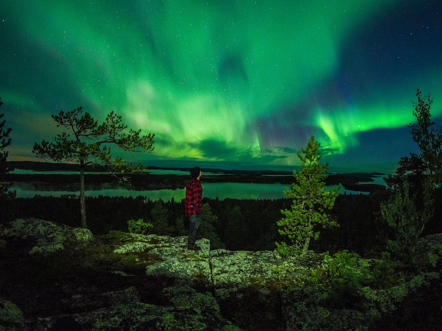 Simo Vilhunen kuningaslaavu valokuvaus lapissa