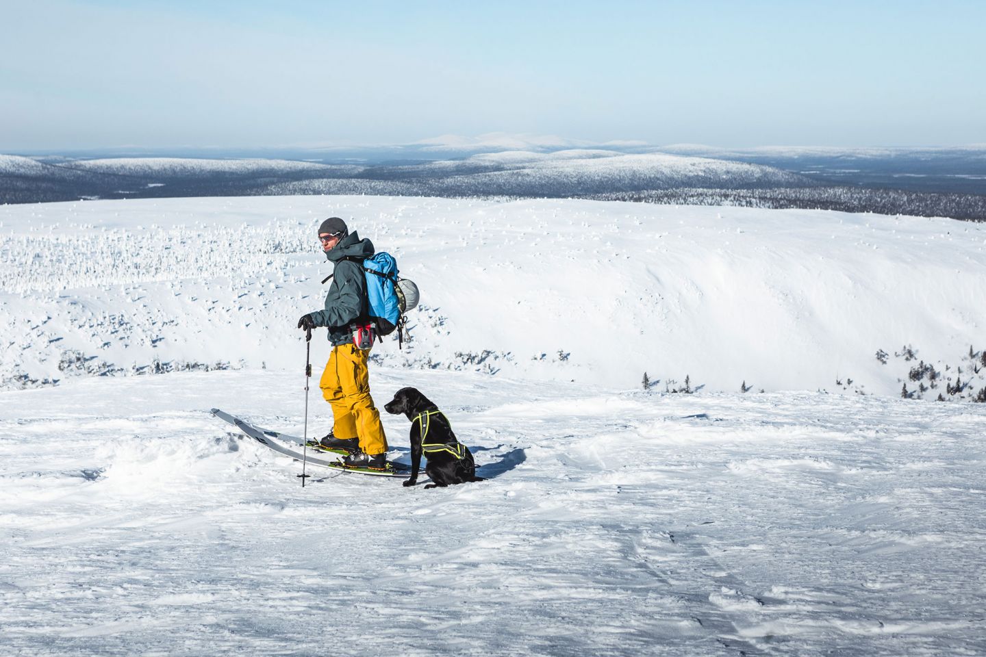 Hobbies in Lapland Antte and dog