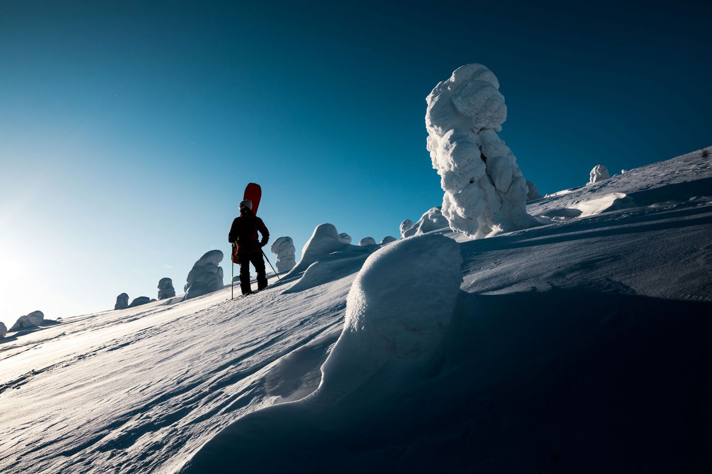 Hobbies in Lapland Antti