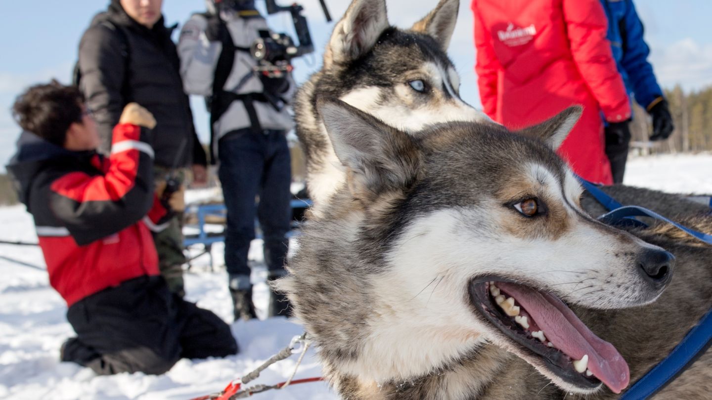 Toimenpiteet ja tulokset House of Lapland