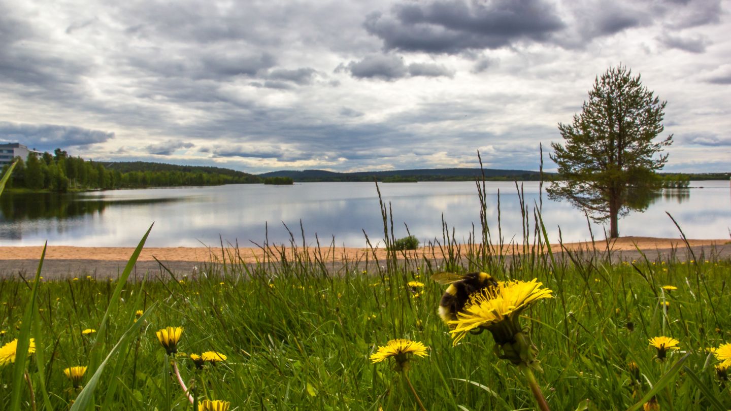 A summer beach under the clouds in Kemijärvi Lapland