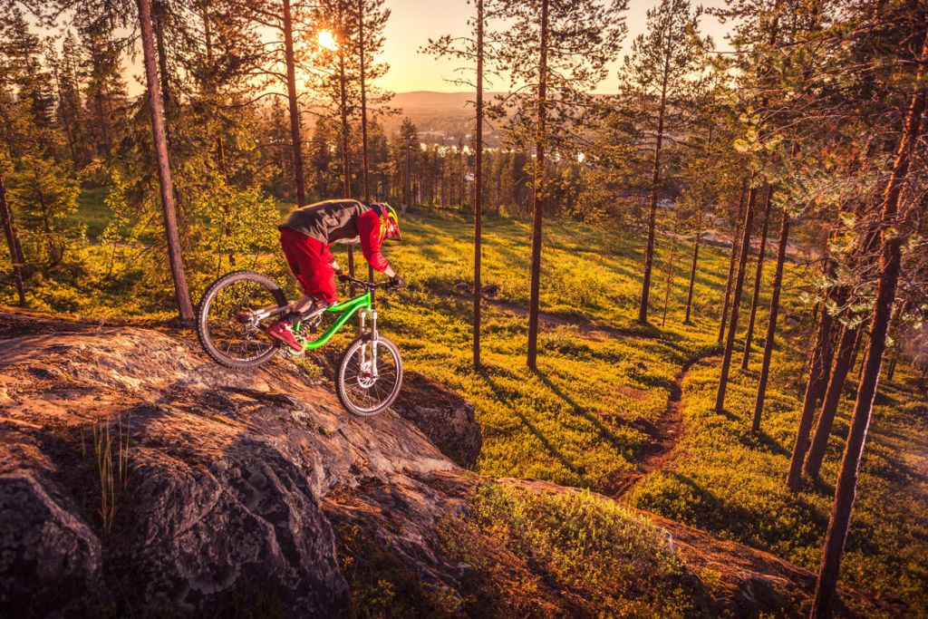 Mountain biking through Lapland forest in summer