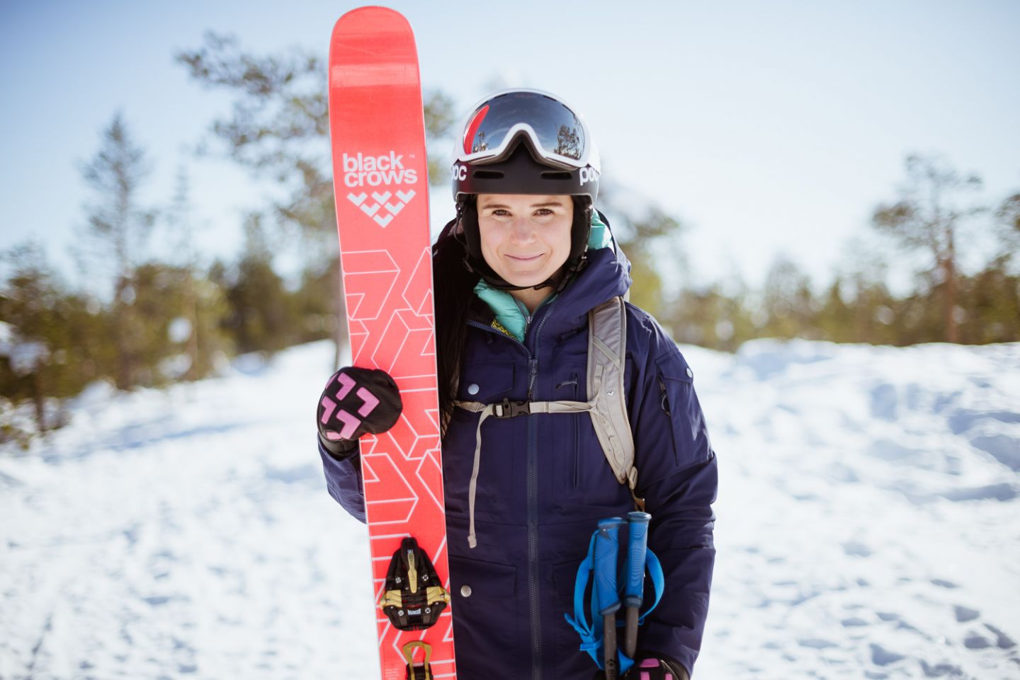 Hobbies in Lapland Merle