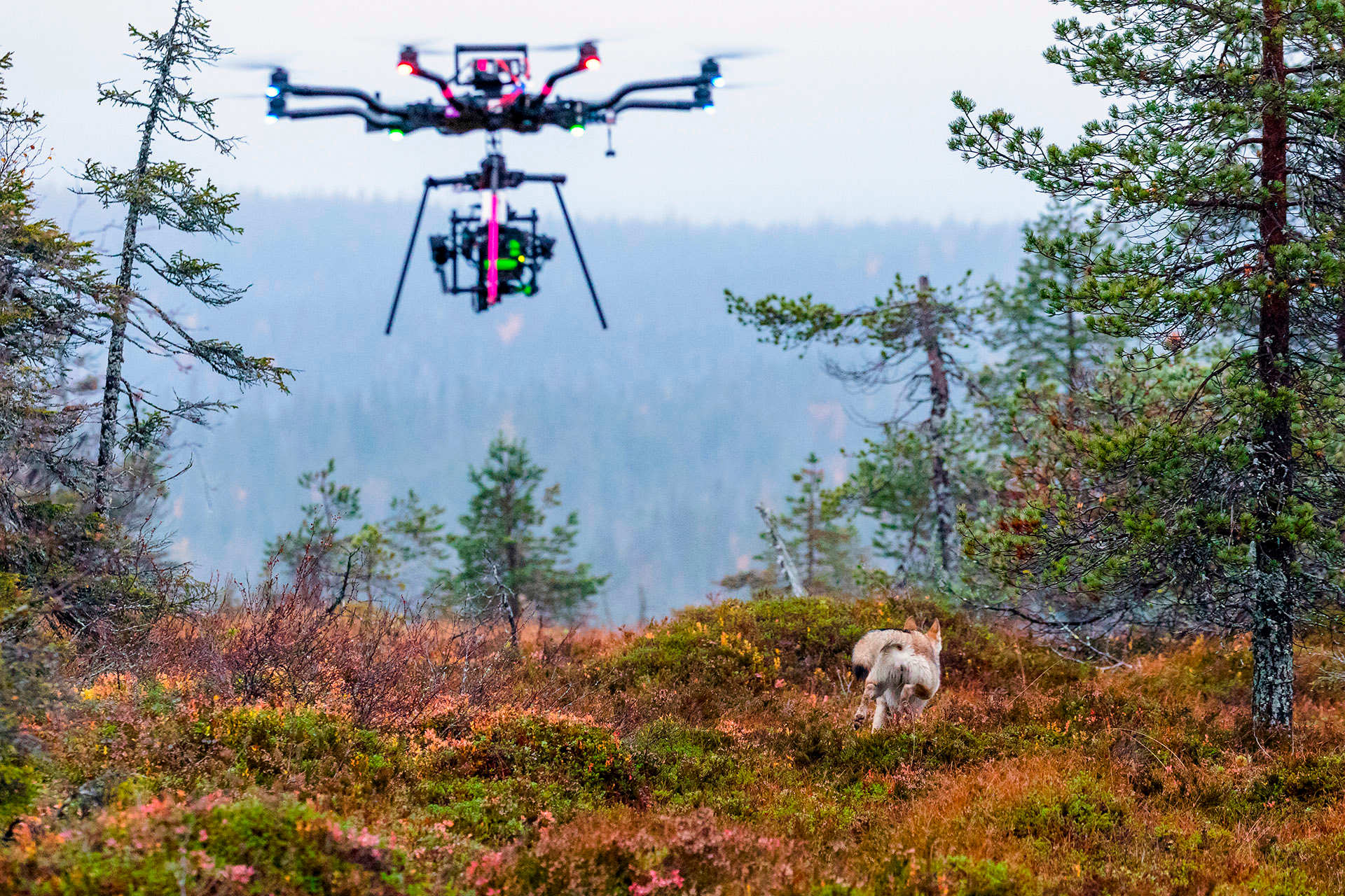 Drone Filming & Permits in Lapland and Finland Film Lapland