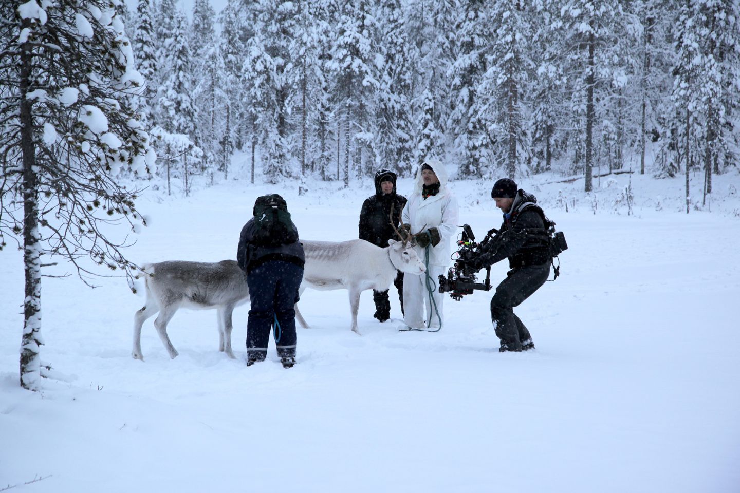 Crew filming reindeer, during production of A Reindeer's Journey in Lapland