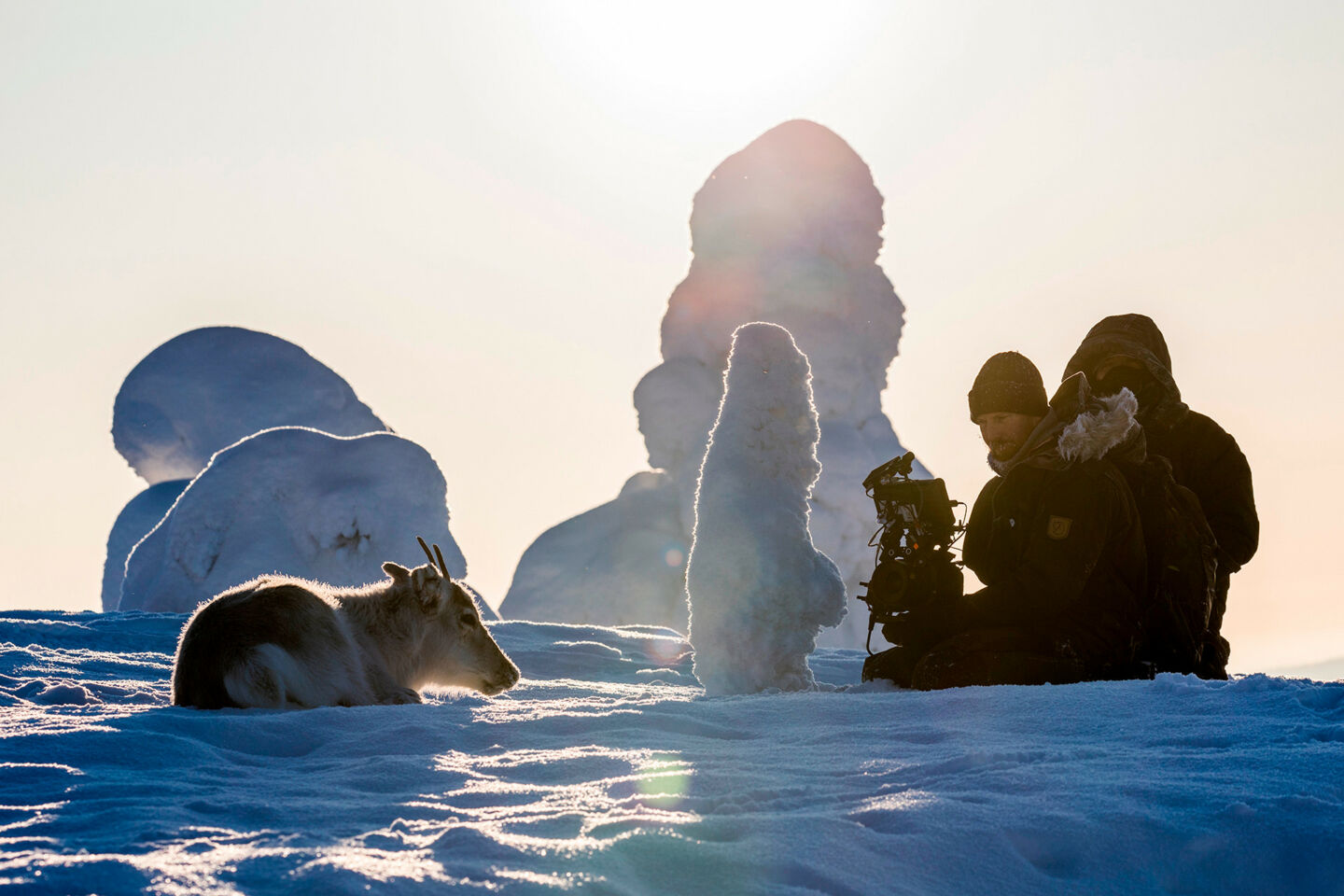 Production A Reindeer's Journey filming in winter in Finnish Lapland