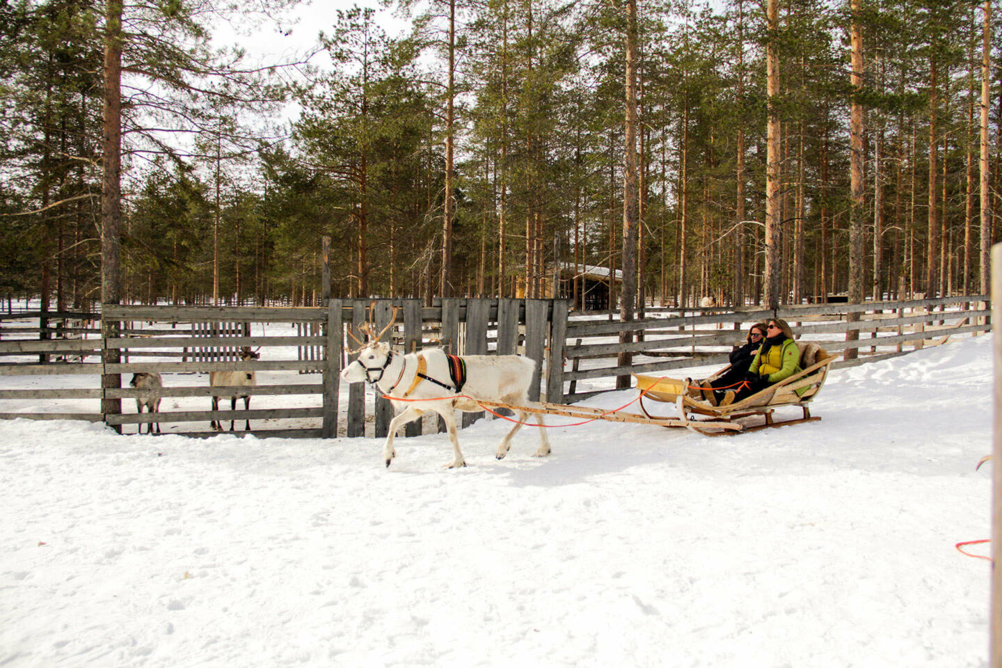 On a fam trip to Finnish Lapland in spring 2018