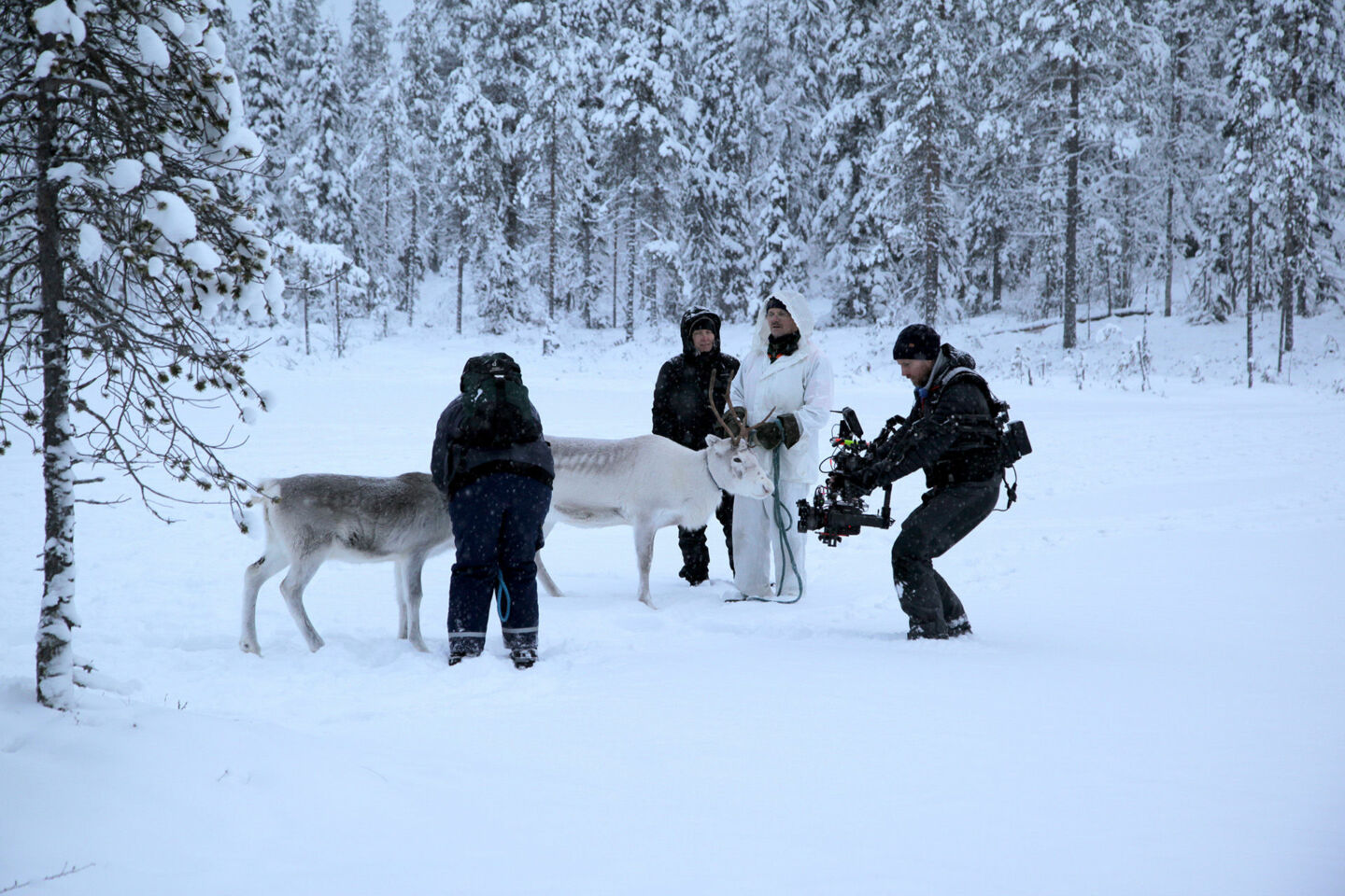 Production A Reindeer's Journey filming in winter in Finnish Lapland