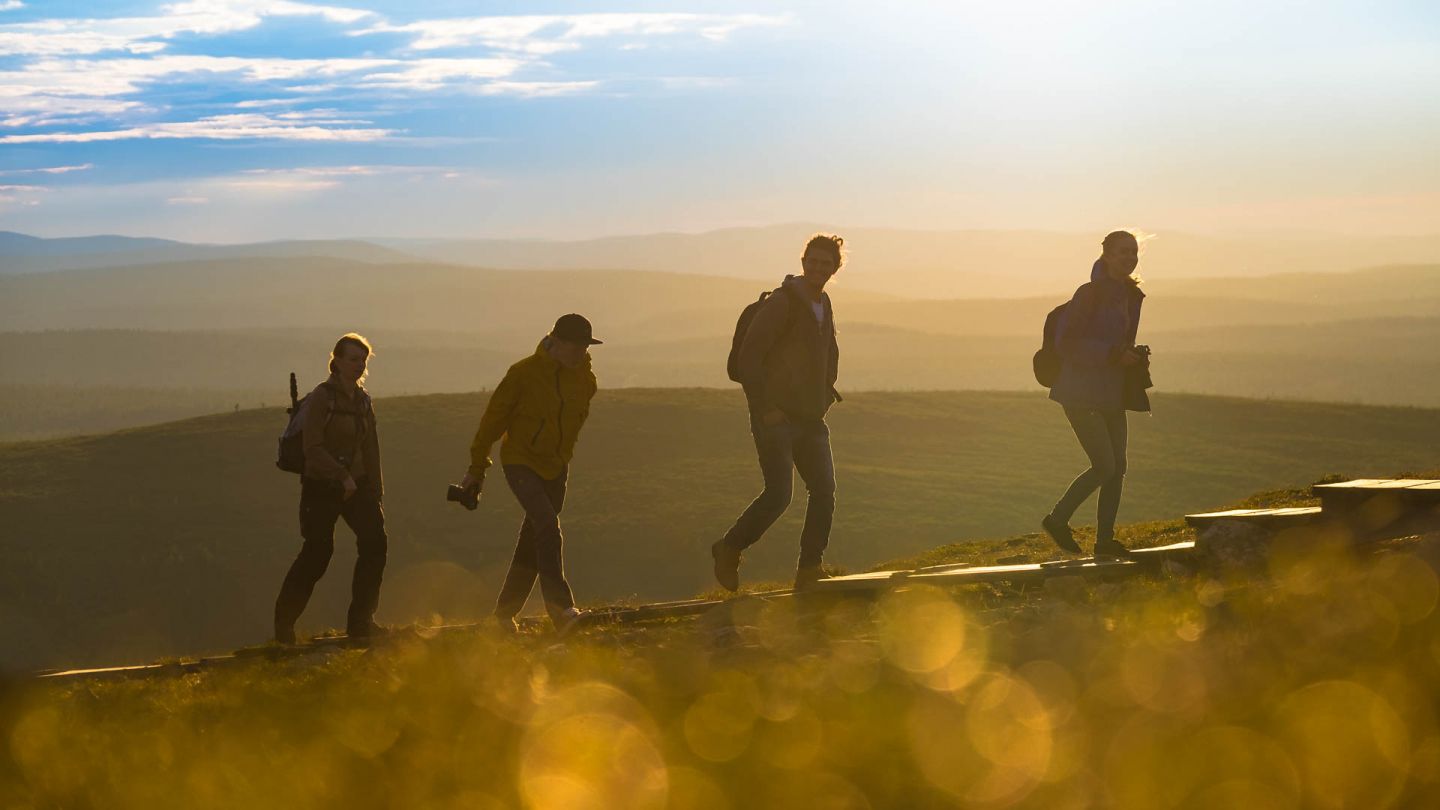 Hiking in Lapland