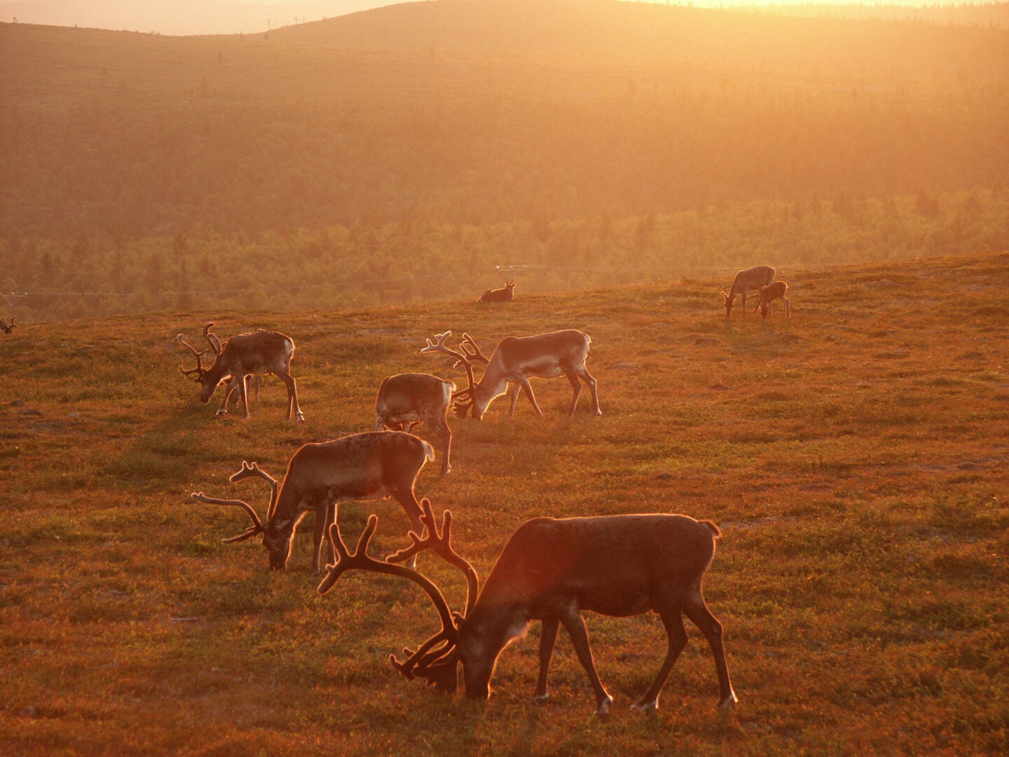 The length of day in Finnish Lapland stretches from 24/7 in summer to polar night that lasts weeks in winter