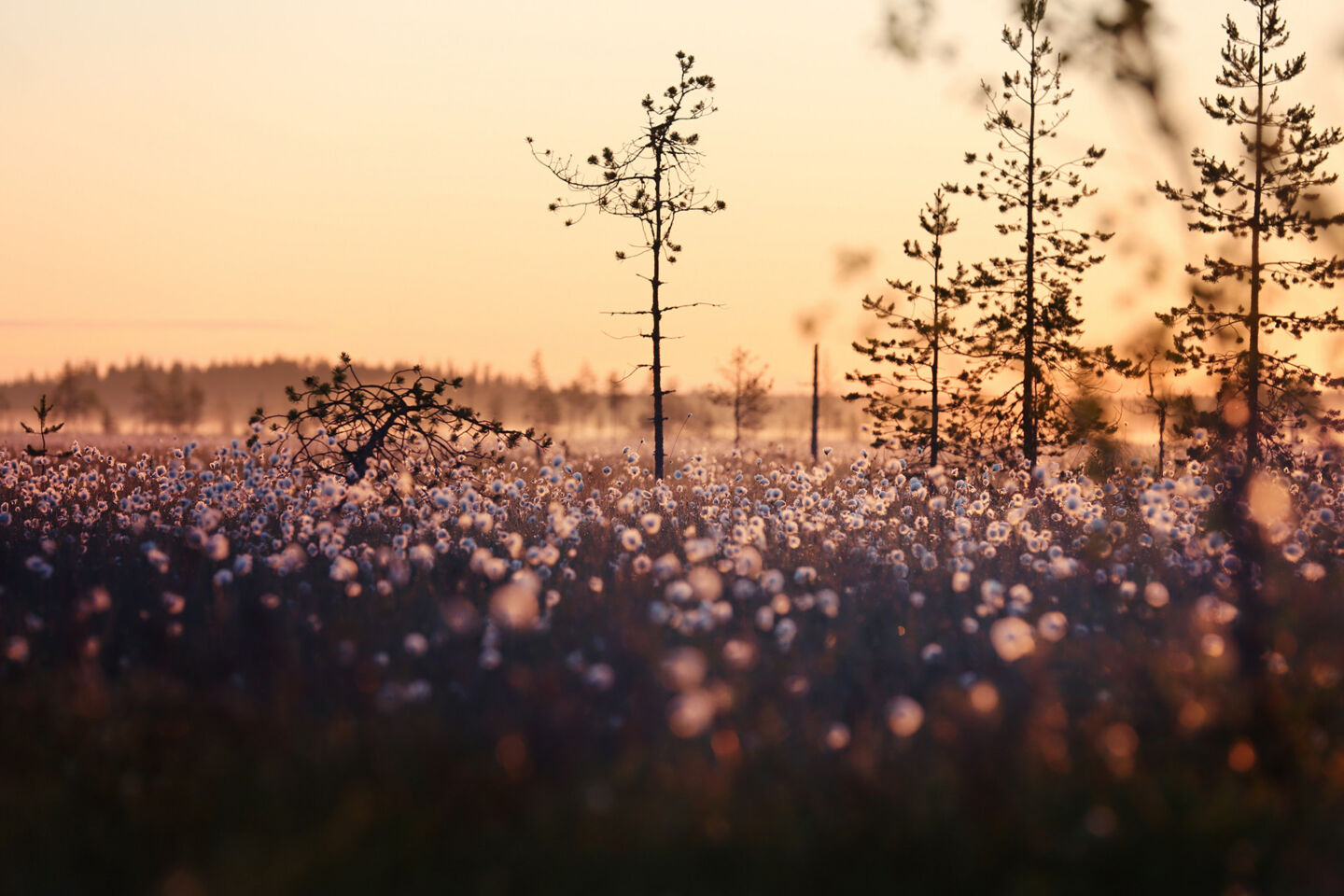 The length of day in Finnish Lapland stretches from 24/7 in summer to polar night that lasts weeks in winter