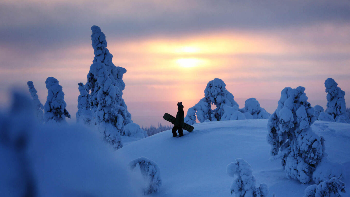 Freeriding among the snow-crowned trees, just one of the many reasons to work in Lapland in the winter