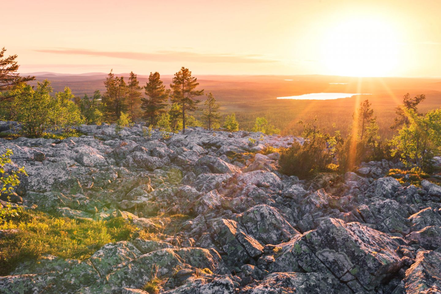 forest and rocky hill landscape in Finnish Lapland