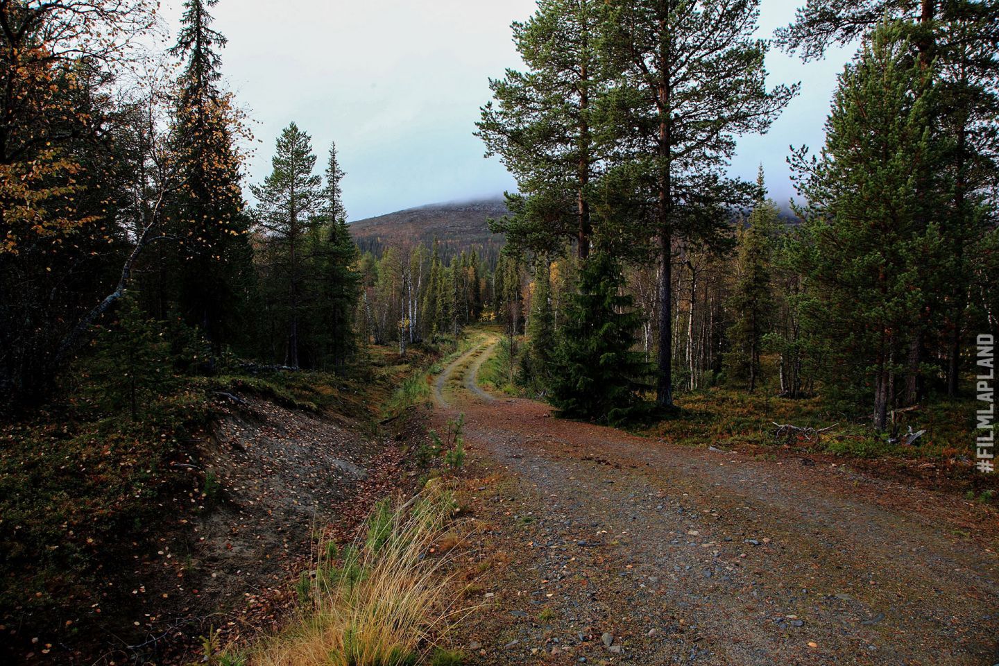 Dirt road through the forest, in Enontekiö, Finland