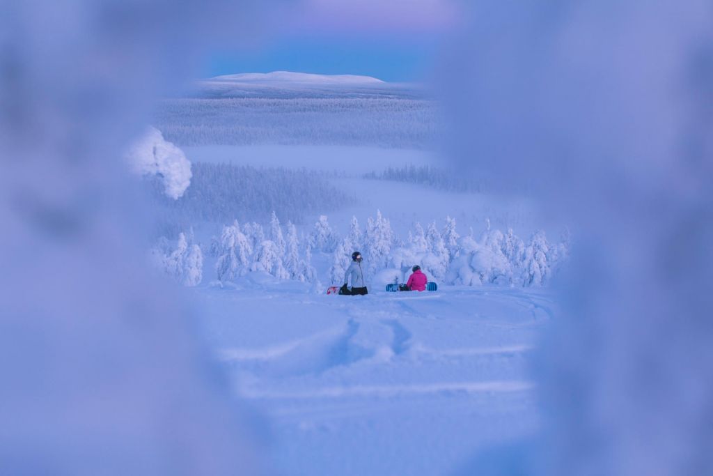 Picnic on the snow, a forest snowscape in northern Finland