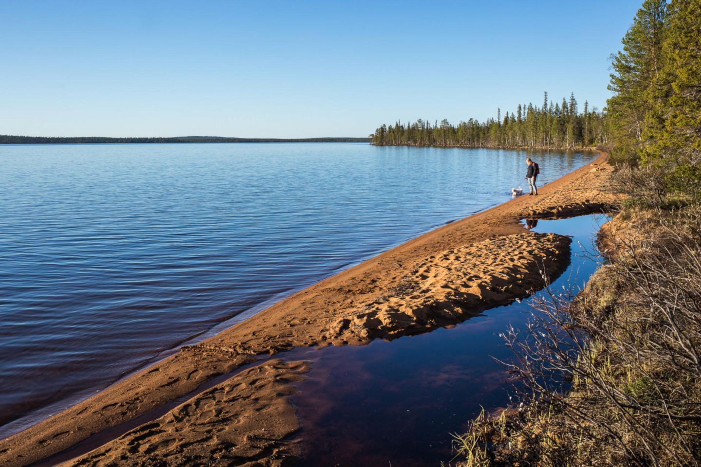 Pallasjärvi | beaches in finland