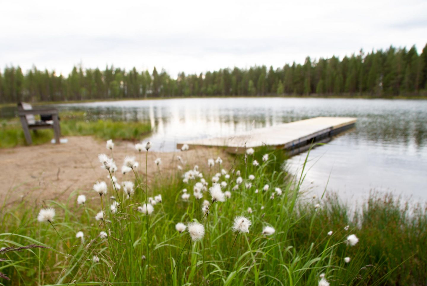 dock and beach in salla | beaches in finland