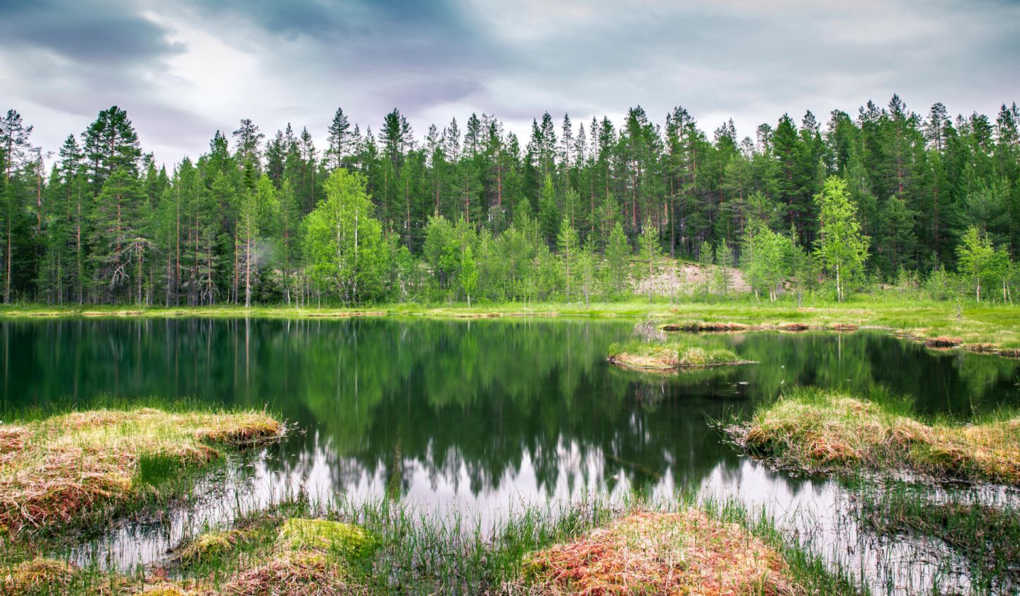 porolampi beach in salla | beaches in finland