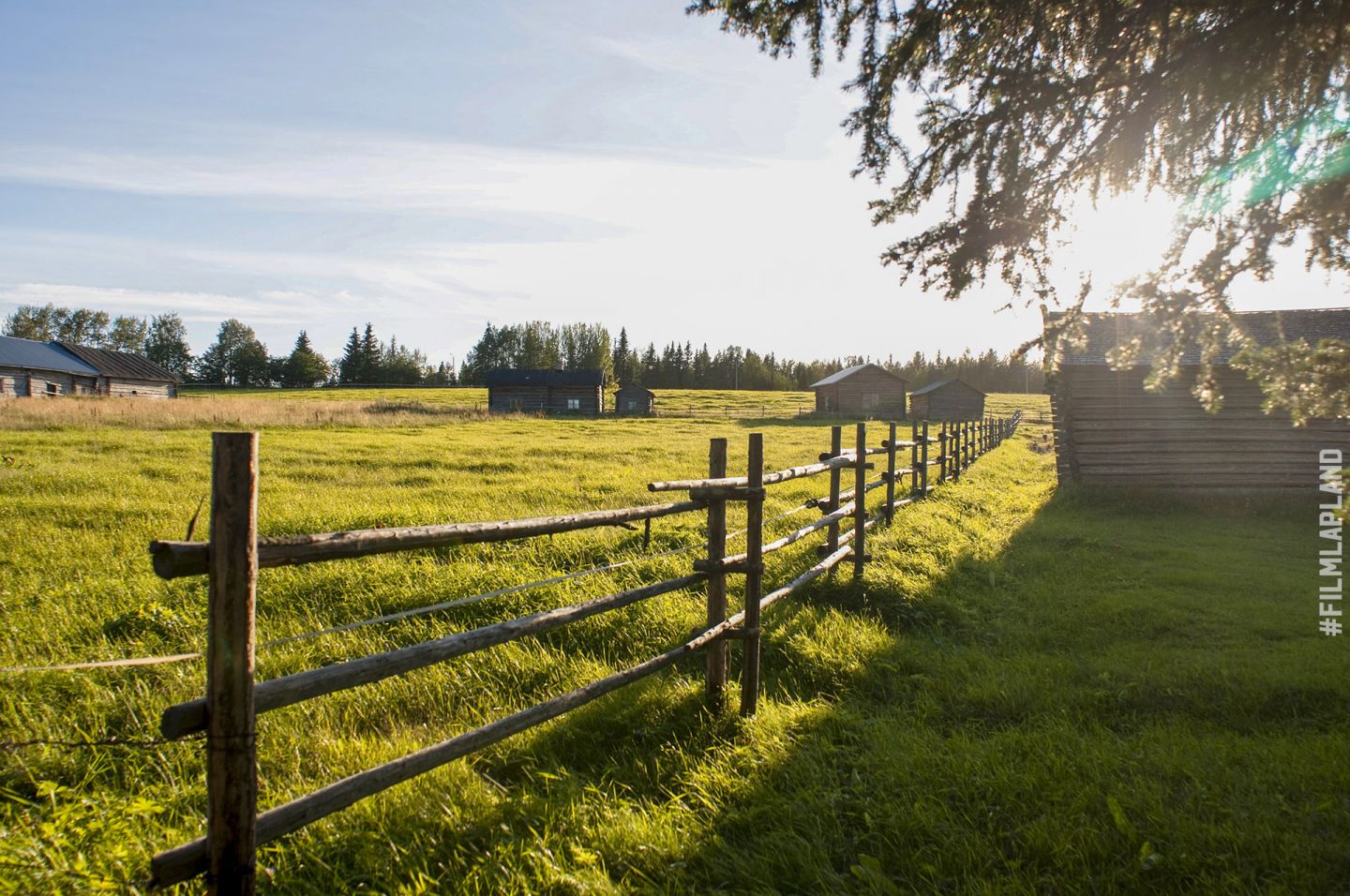 Finnish farm, with field and fence