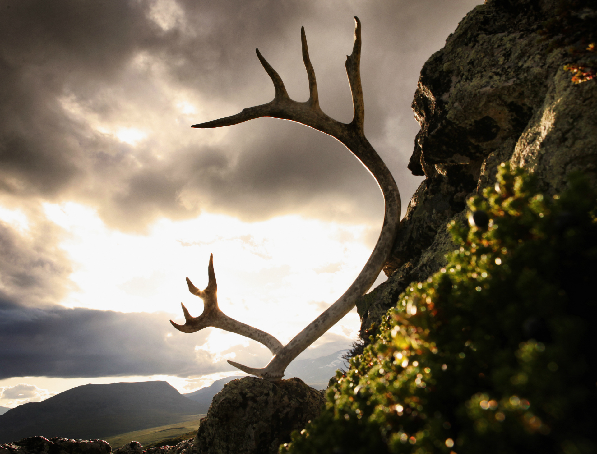 House of Laplandin yritys ja yhteystiedot House of Lapland