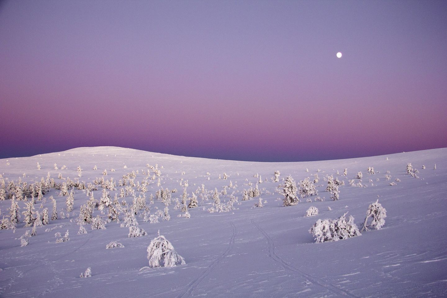 Finland National Park | Pallas-Ylläs, Lapland