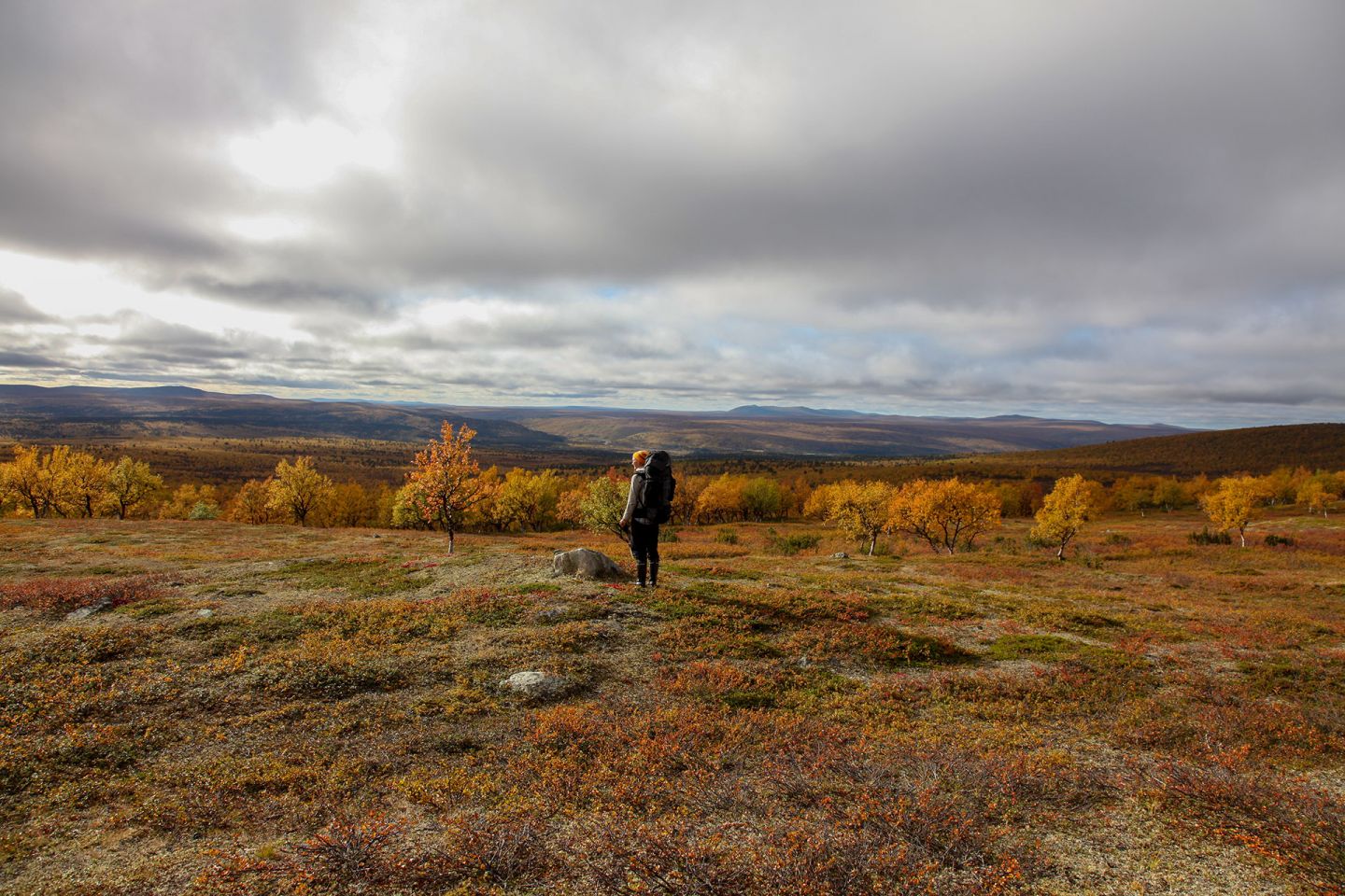 Utsjoki Vast TundraLike Wilderness & Sámi Culture Film Lapland