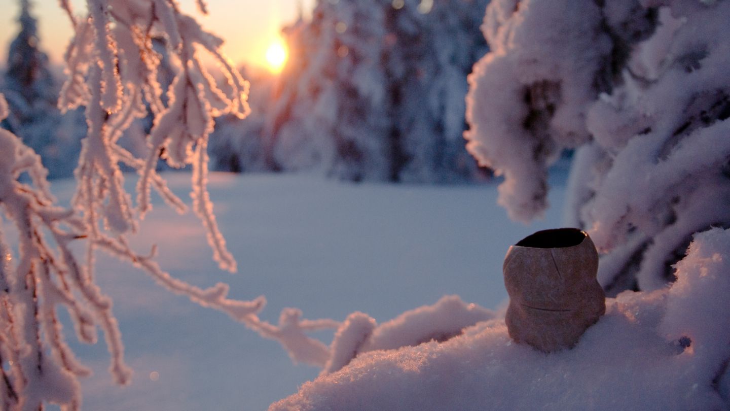 Snow-covered trees in Riisitunturi, Posio, Lapland