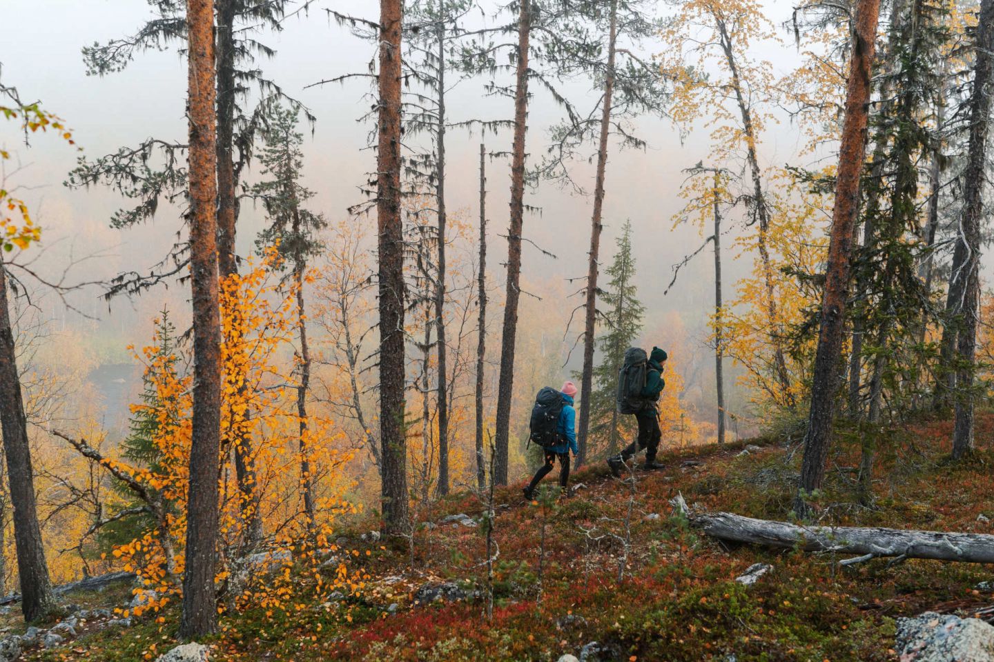 The Nuortti River Gorge in Savukoski, Finland