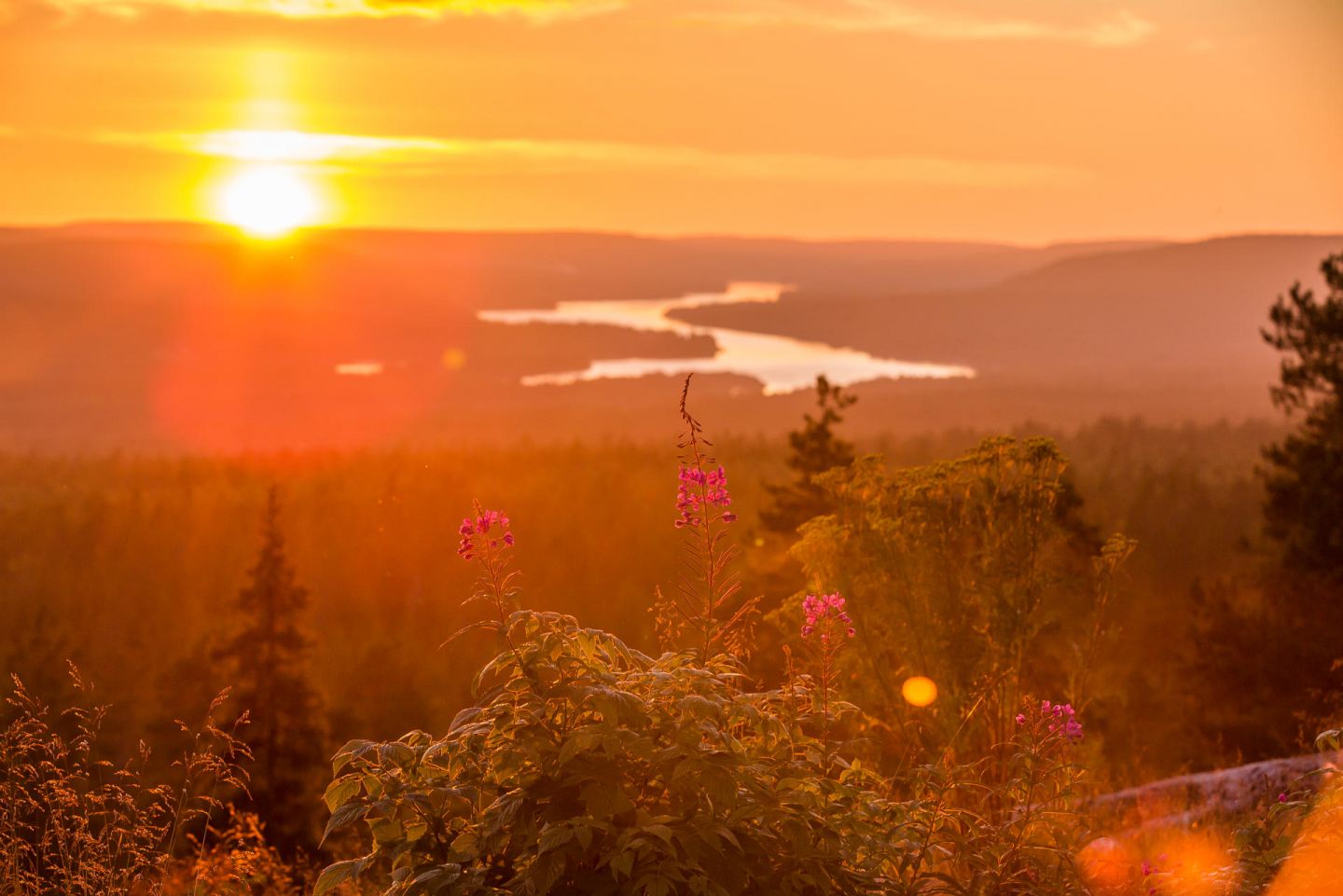 The view from Kuninkaan Laavu in Rovaniemi, Lapland in autumn