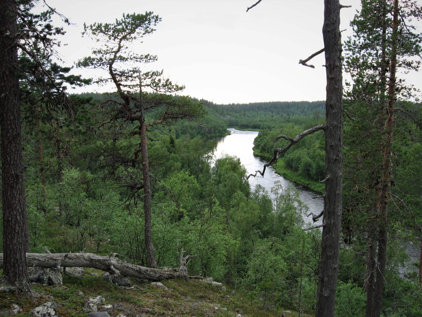 The Nuortti River Gorge in Savukoski, Finland