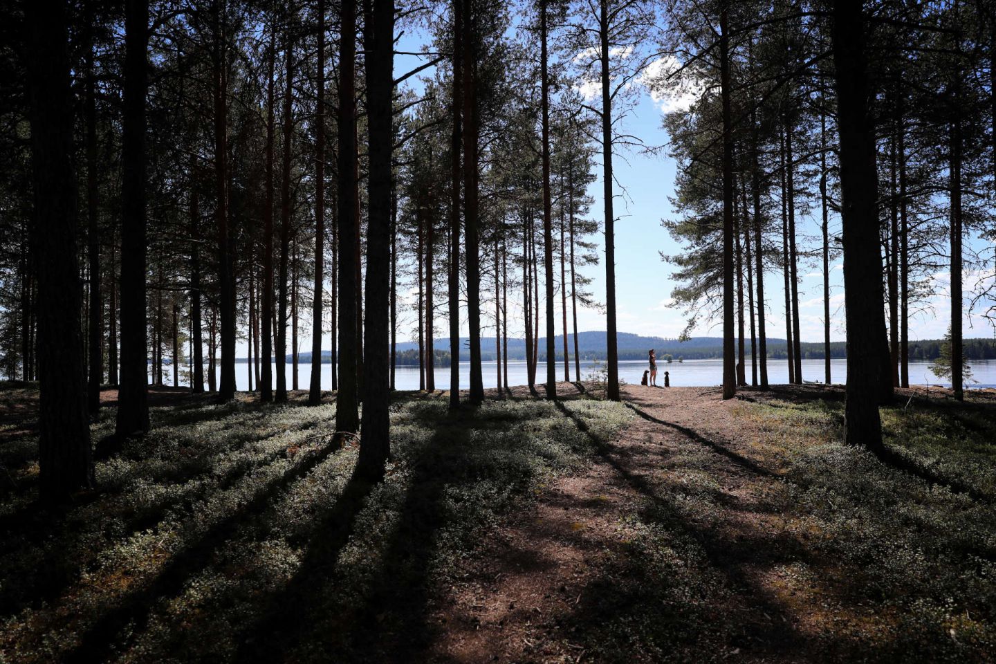 At the beach in Kemijärvi, Finland in summer