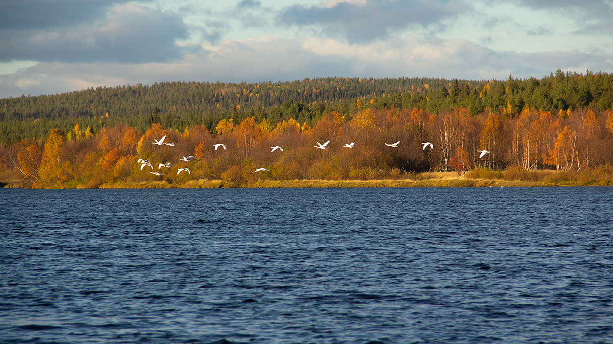 On location in Lapland during the 2018 spring fam tour