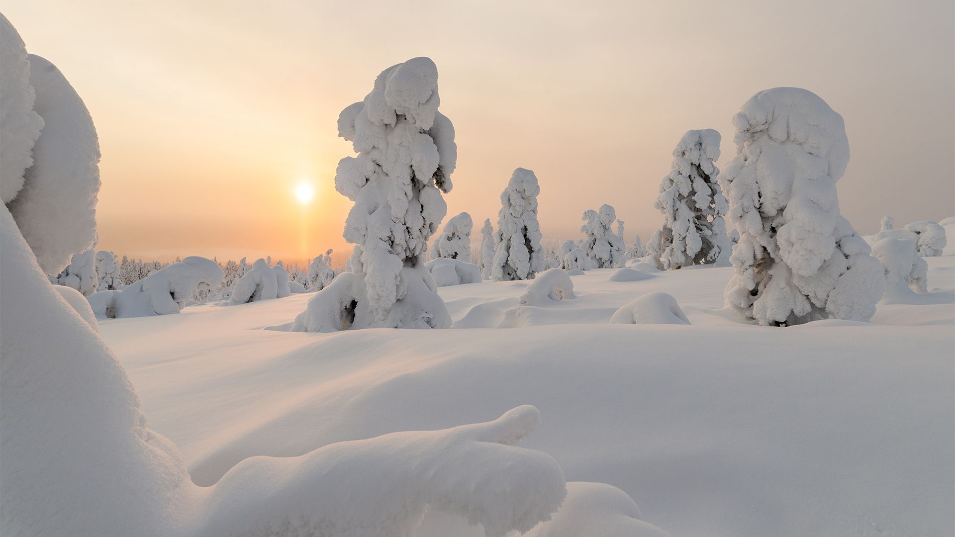 Only in Lapland │ Visit Finnish Lapland